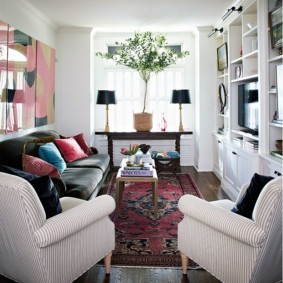 narrow living room in the apartment decor