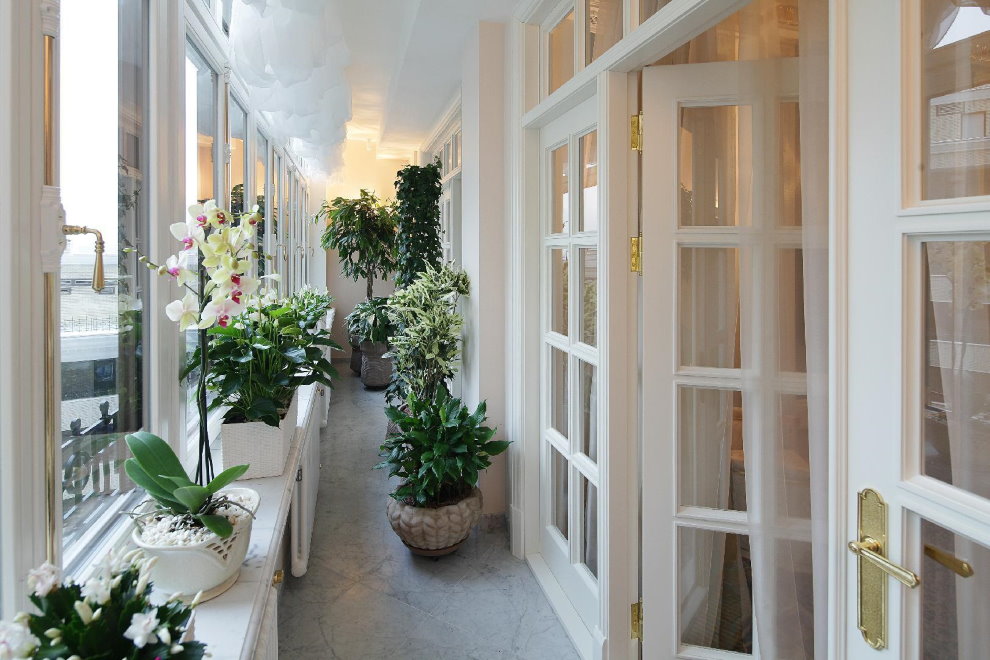 Narrow balcony with blooming orchids