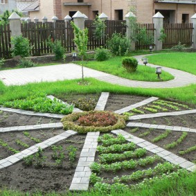 Semis de fleurs sur un parterre de fleurs en forme de soleil