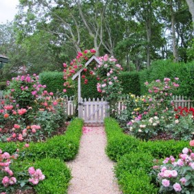 Beau jardin avant avec des roses en fleurs