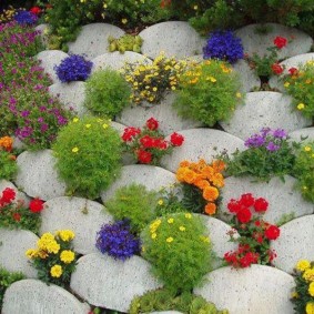 Parterre de fleurs de leurs carreaux de béton ovales