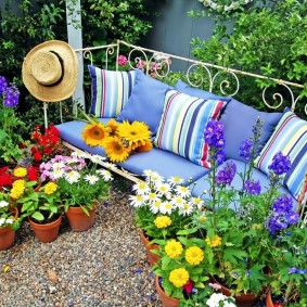 Banc de jardin entouré de plantes à fleurs