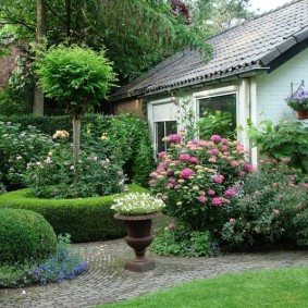 Plantes vivaces devant une maison de campagne