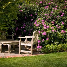 Aire de repos à l'ombre des arbres