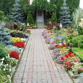 Plantes à fleurs sur les côtés de l'allée du jardin