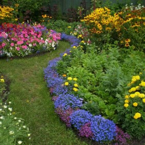 Soucis jaunes sur un parterre de fleurs