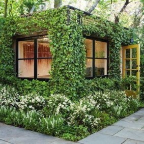 Climbing Garden Arbour