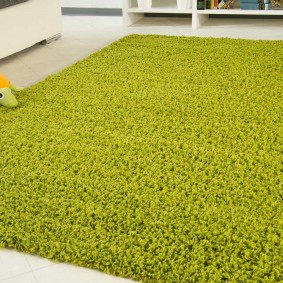 Tapis vert aux cheveux longs