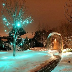 LED garland on a tree without leaves