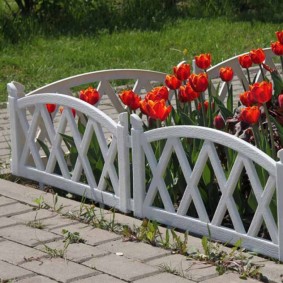 Tulipes rouges sur un parterre de fleurs