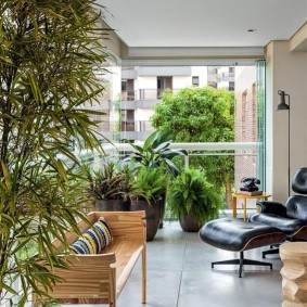 Comfortable chair on the loggia with plants