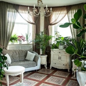 Winter garden in the living room