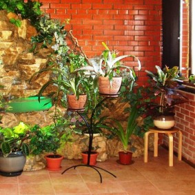 Brick loggia with indoor plants