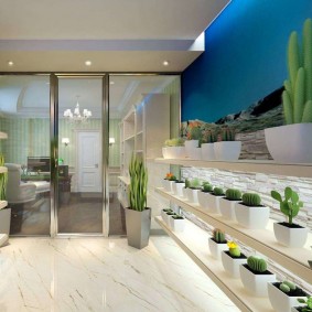 Cacti in white pots on shelves in the living room