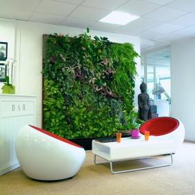 Living wall in a white room