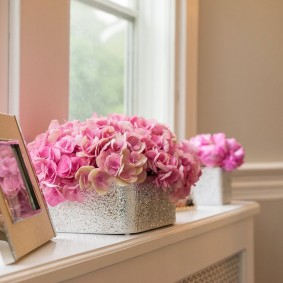 Roses in a container on a plastic windowsill