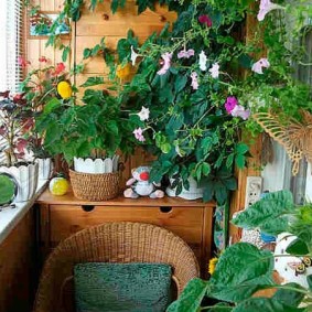 Rest area on the balcony in a natural style