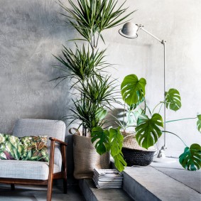 Floor lamp near the tub with a palm tree