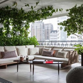 Corner sofa under climbing plants