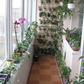 Small balcony with blooming orchids