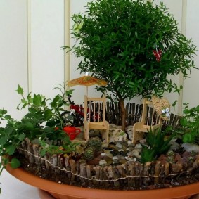 DIY bonsai composition