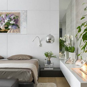 green plants in a modern bedroom