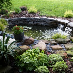 Une petite cascade au bord d'un étang