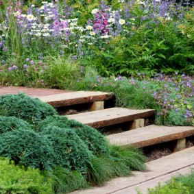 Marches en bois d'un escalier de jardin