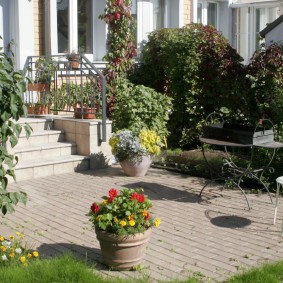 Pot de fleurs de jardin avec des soucis en fleurs