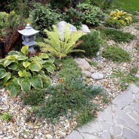 Une lampe de poche de jardin derrière un bush hosta