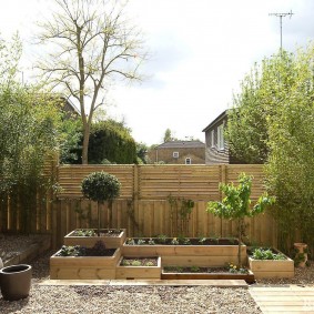 Jardin compact dans des caisses en bois