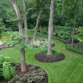 Décoration de troncs d'arbres de grands arbres