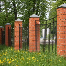 Yellow dandelions among green grass