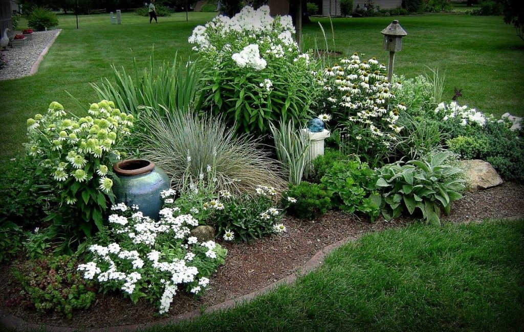 Un petit parterre de fleurs au milieu d'une pelouse verte