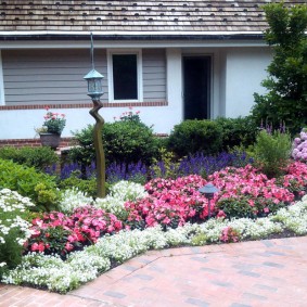 Fleurs roses et blanches dans le parterre de fleurs près de la maison