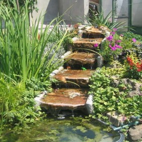 Marches en pierre d'un chemin de jardin