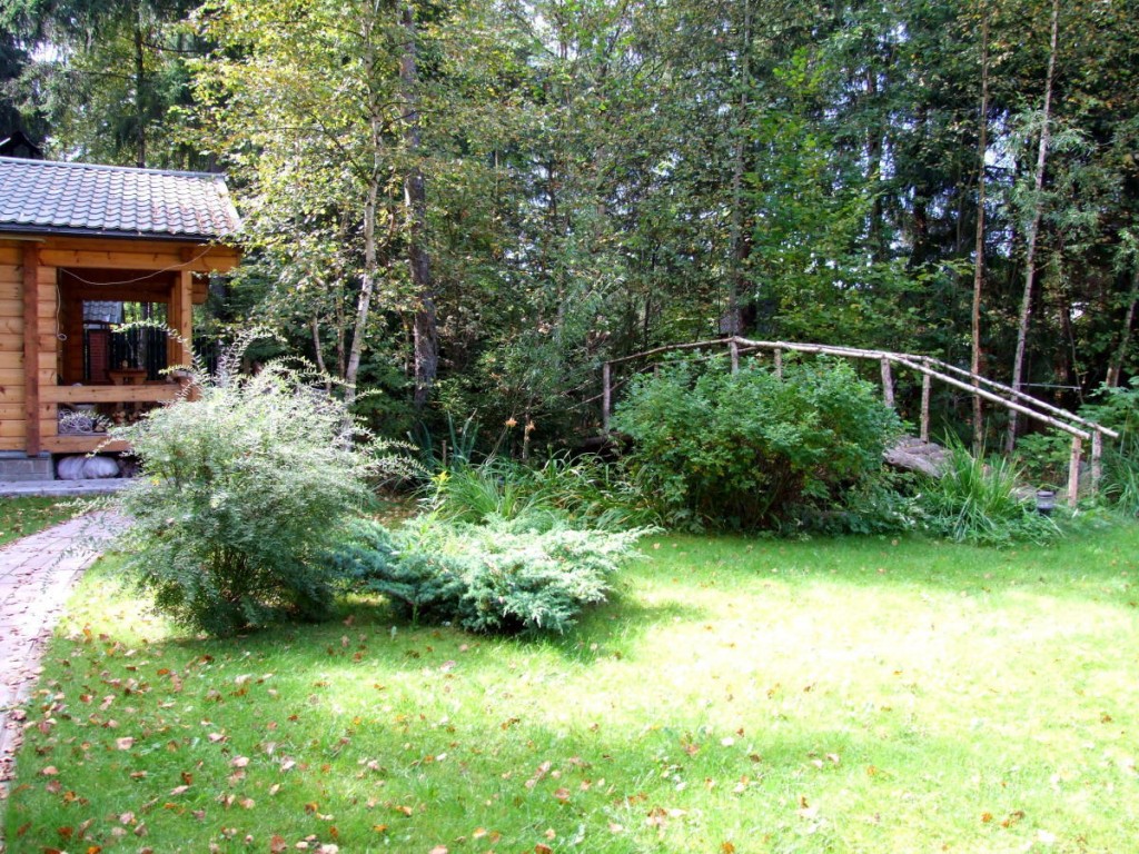 Campagne de style forêt