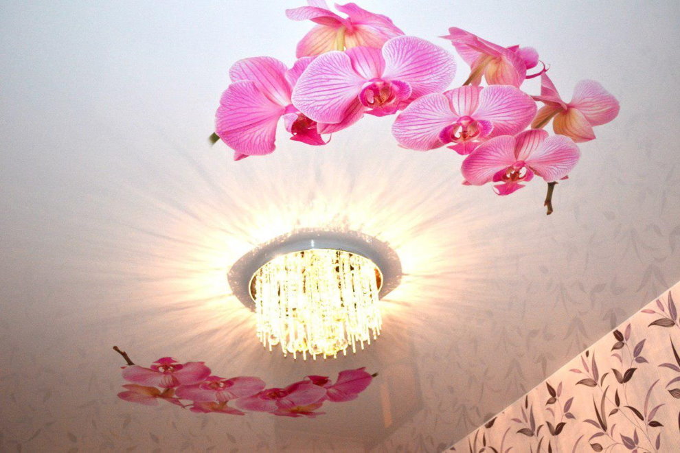 Lustre pour plafond tendu avec impression photo