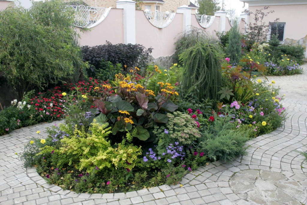 Plantes vivaces dans le parterre de fleurs de 20 acres