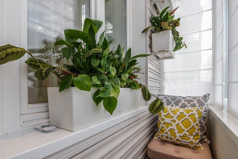 White container with green plants on the balcony of a panel house