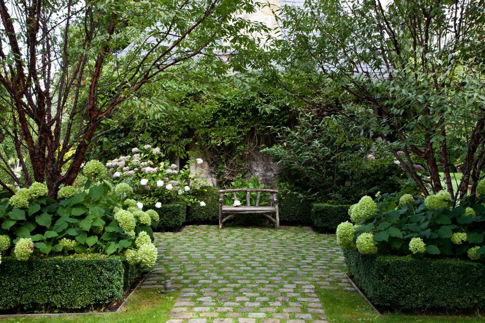 Hortensia en panicule dans un parterre de fleurs dans un jardin à l'anglaise