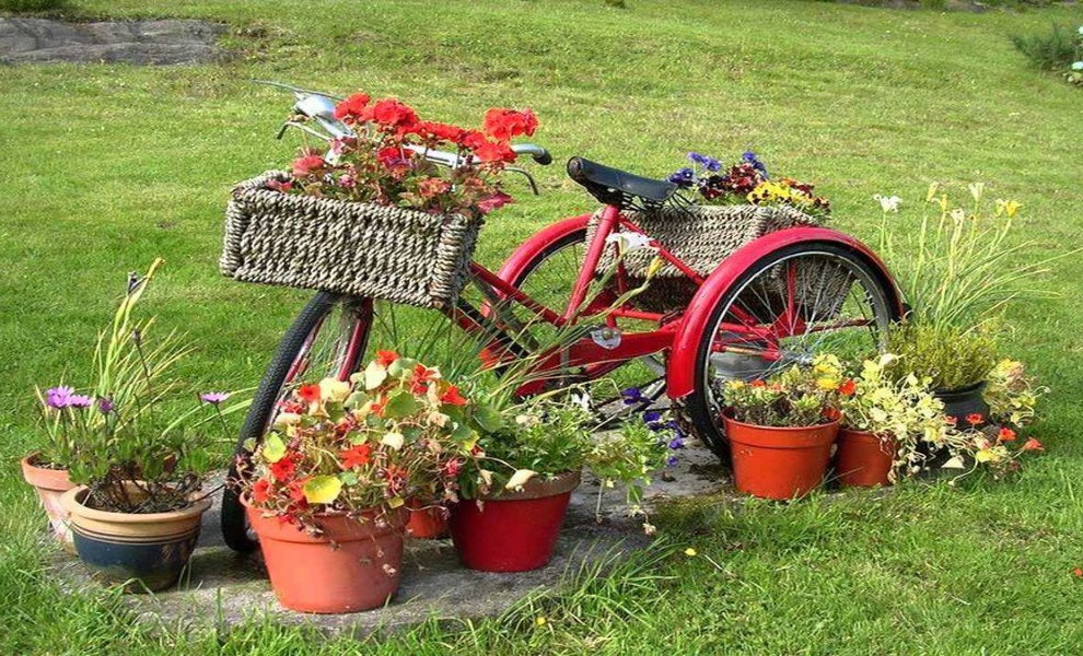 Parterre d'un vieux tricycle