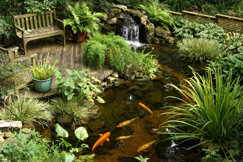 Banc en bois sur la plate-forme près de l'étang à poissons