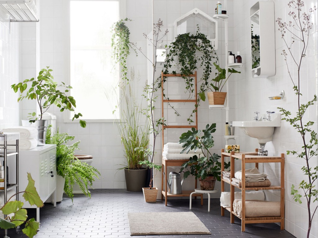 Green plants in a white room