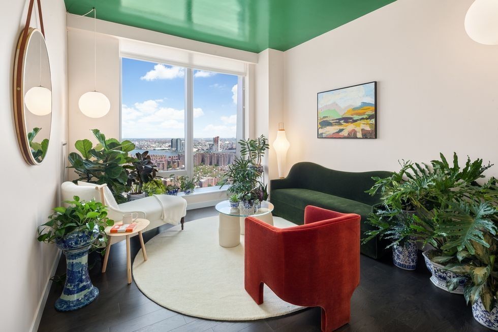 Green plants in the living room interior with a large window