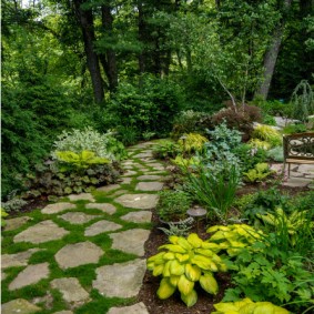 A simple path made of stone slabs