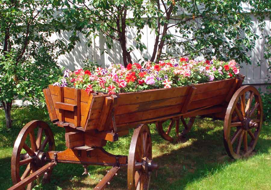 Lit wagon dans un terrain avec une clôture en bois