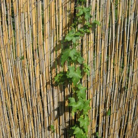 Décorer la maille de filet de clôture de roseau