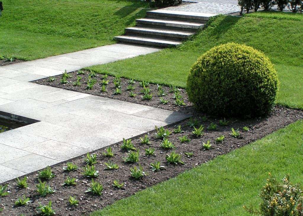 Decorative lawn in a city leisure park