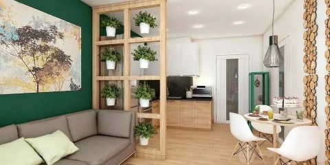 one bedroom apartment eco style